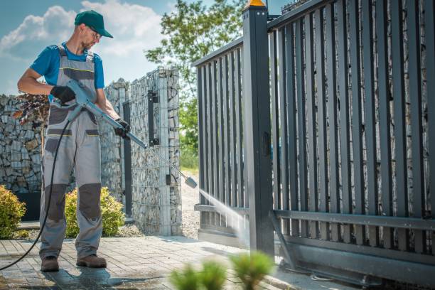 Best Driveway Pressure Washing  in Sangaree, SC
